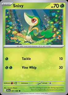 Snivy - Catalogusvoorbeeld