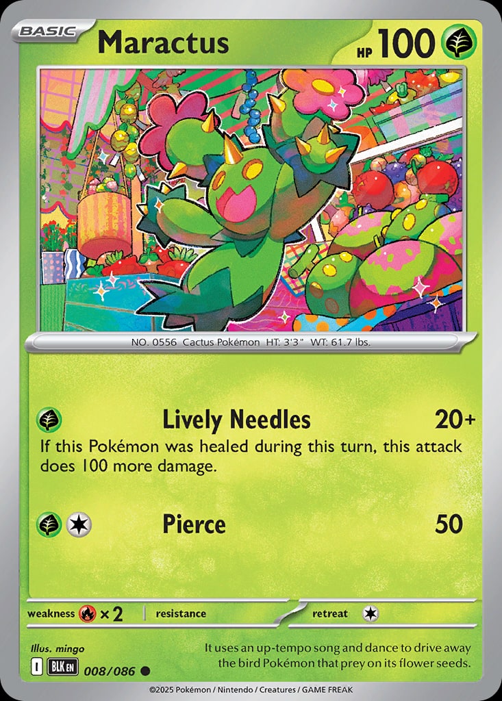 Maractus - Catalogusvoorbeeld