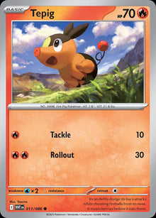 Tepig - Catalogusvoorbeeld