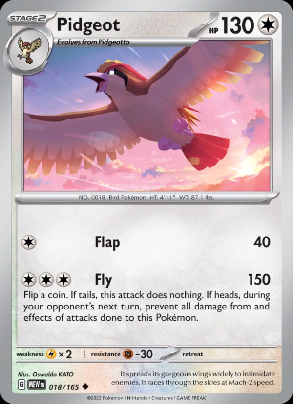 Pidgeot - Catalogusvoorbeeld