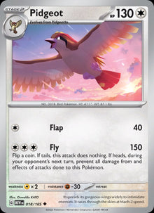 Pidgeot - Catalogusvoorbeeld
