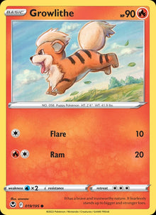 Growlithe - Catalogusvoorbeeld