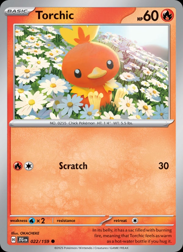 Torchic - Catalogusvoorbeeld