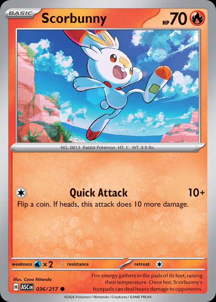 Scorbunny - Catalogusvoorbeeld