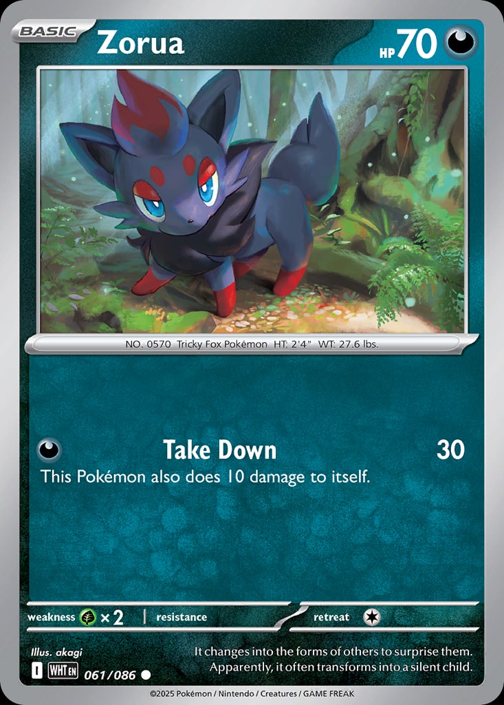 Zorua - Catalogusvoorbeeld