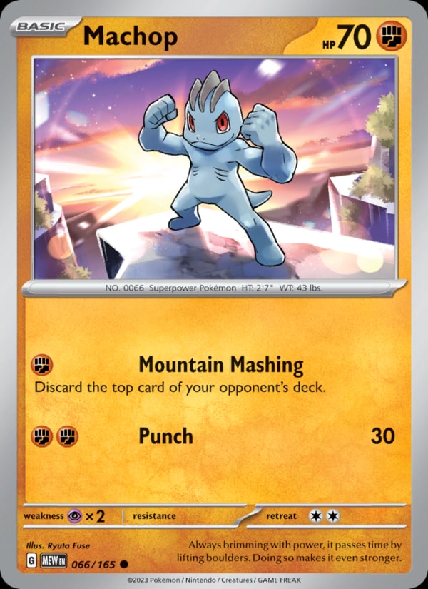 Machop - Catalogusvoorbeeld