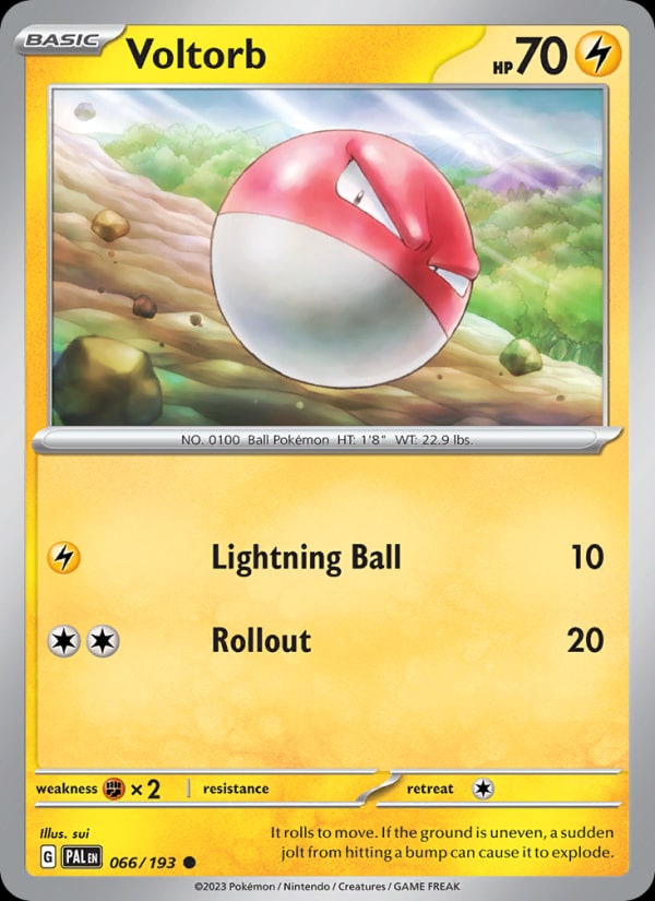 Voltorb - Catalogusvoorbeeld