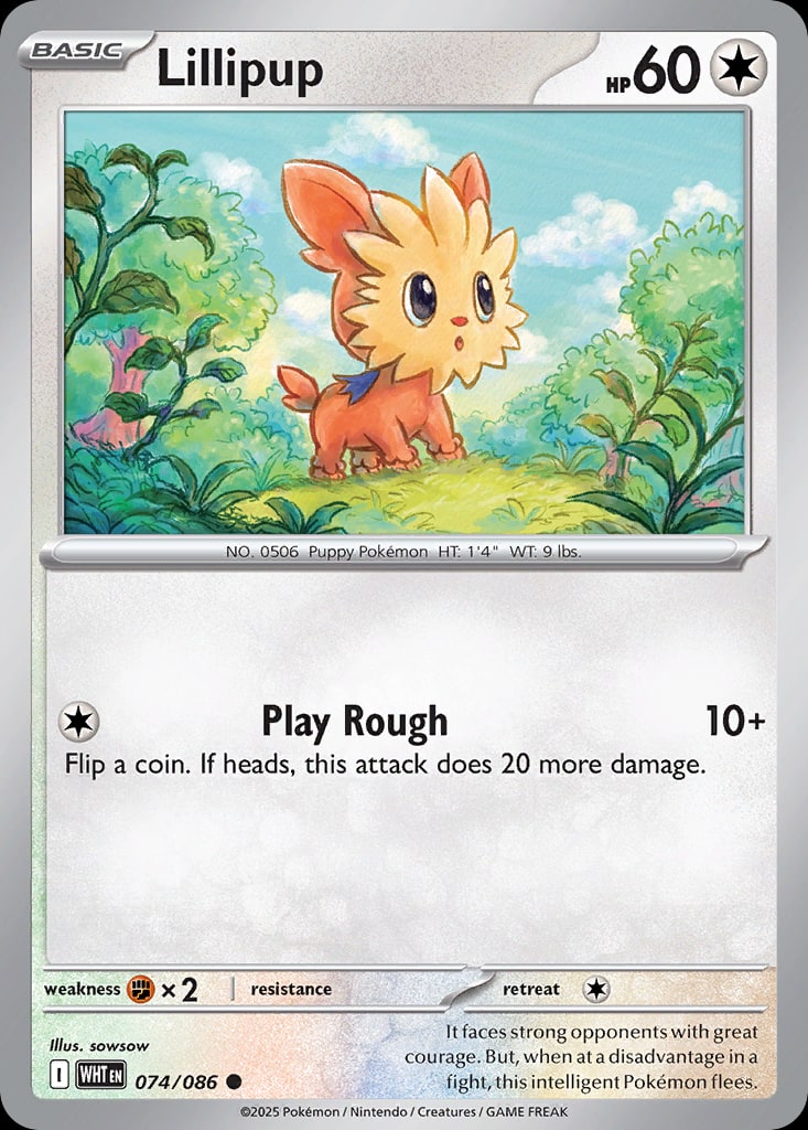 Lillipup - Catalogusvoorbeeld