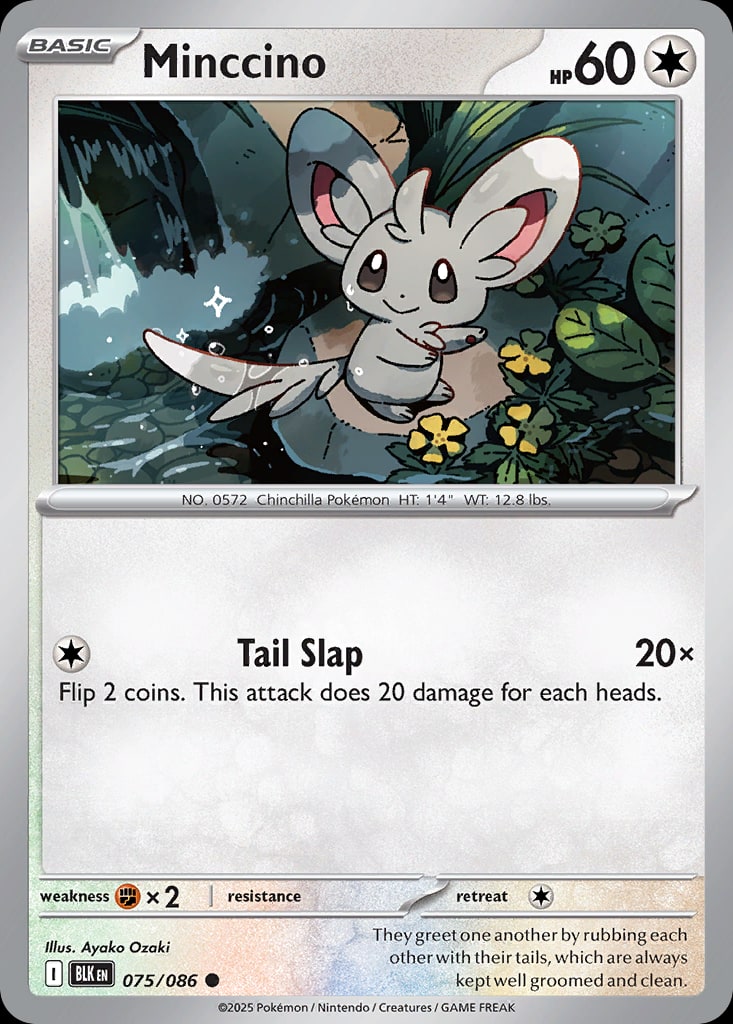 Minccino - Catalogusvoorbeeld