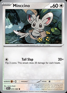 Minccino - Catalogusvoorbeeld