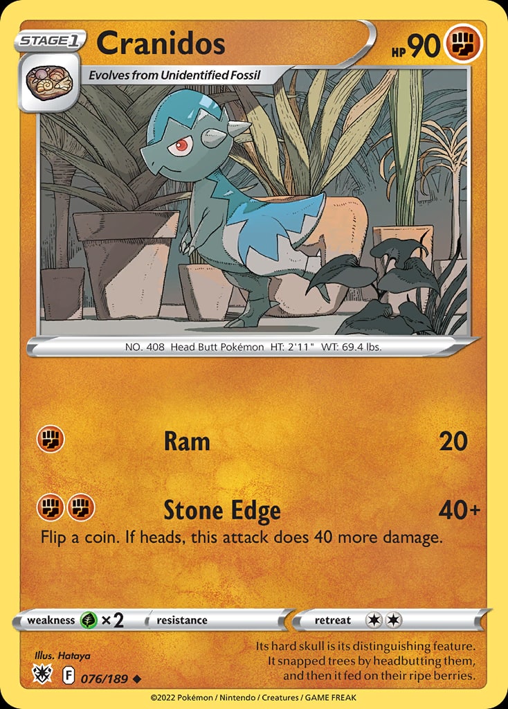 Cranidos - Catalogusvoorbeeld