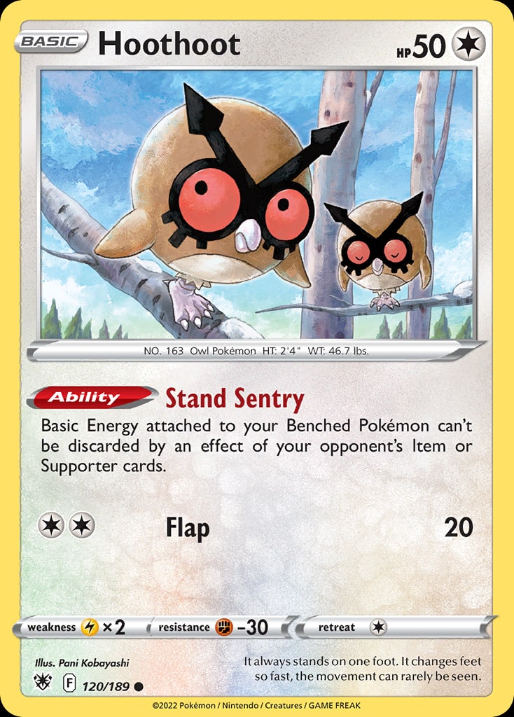 Hoothoot - Catalogusvoorbeeld
