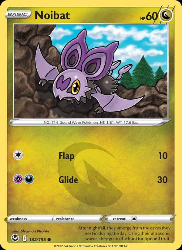 Noibat - Catalogusvoorbeeld