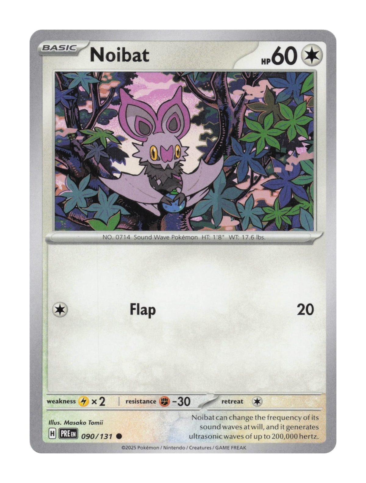 Noibat - NM front