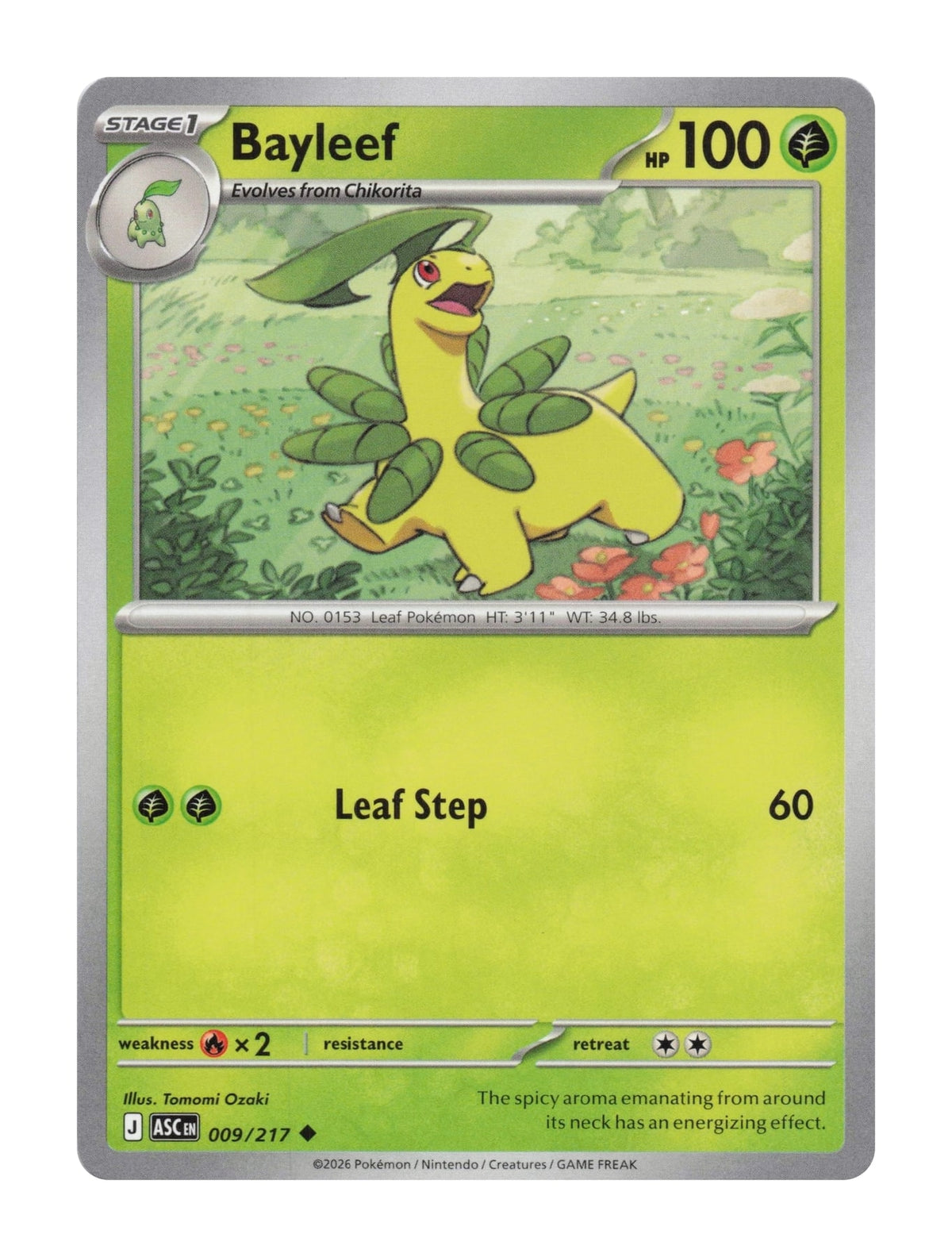 Bayleef - NM front