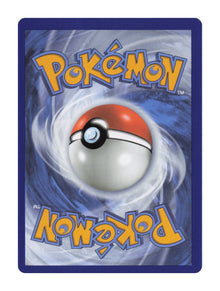 Pyroar (Holo) - NM back