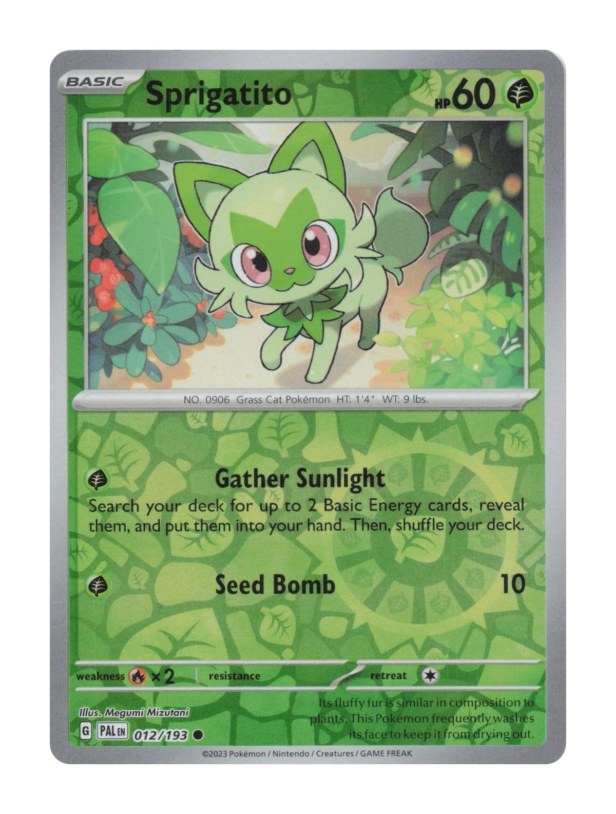 Sprigatito (Holo) - NM front