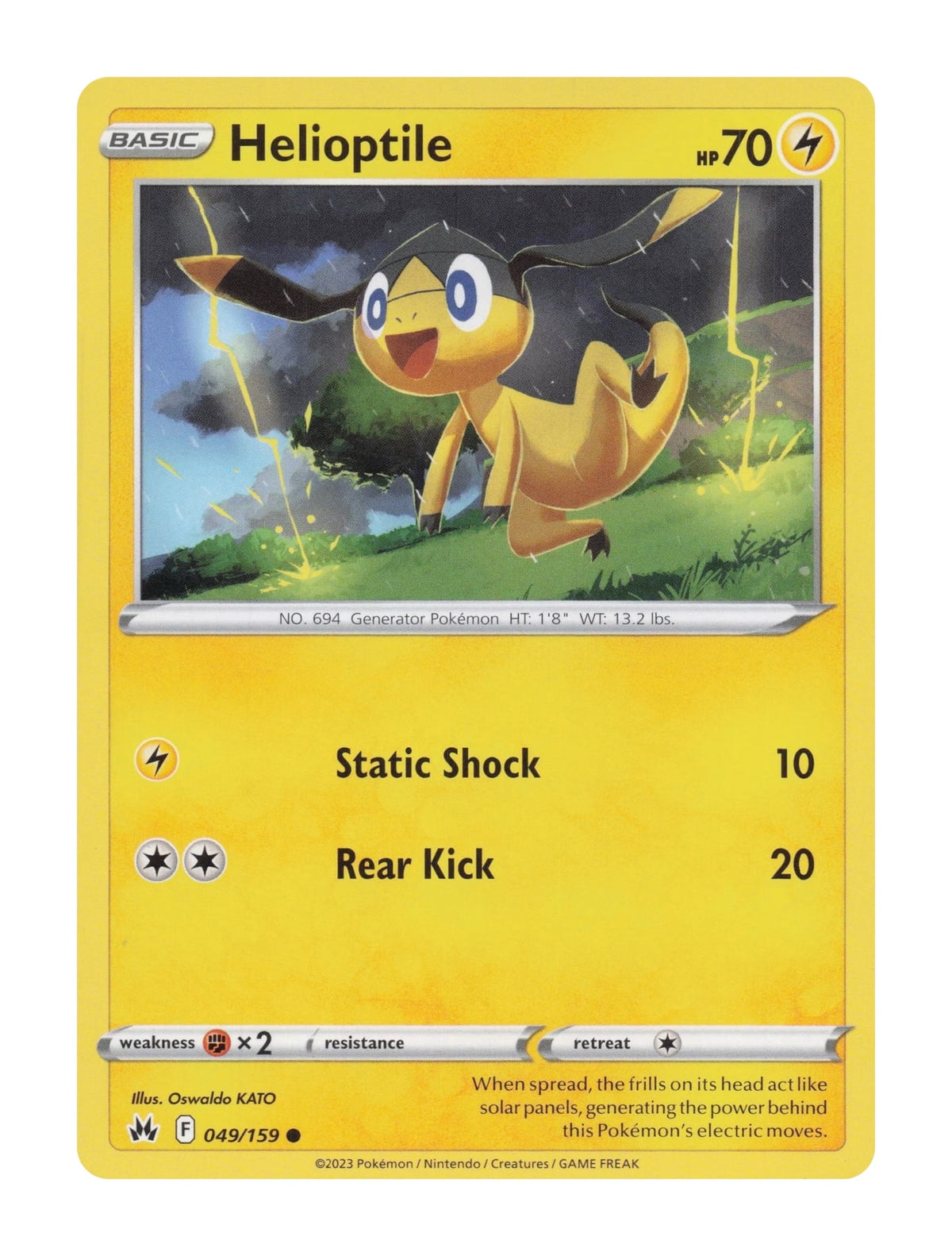 Helioptile - NM front