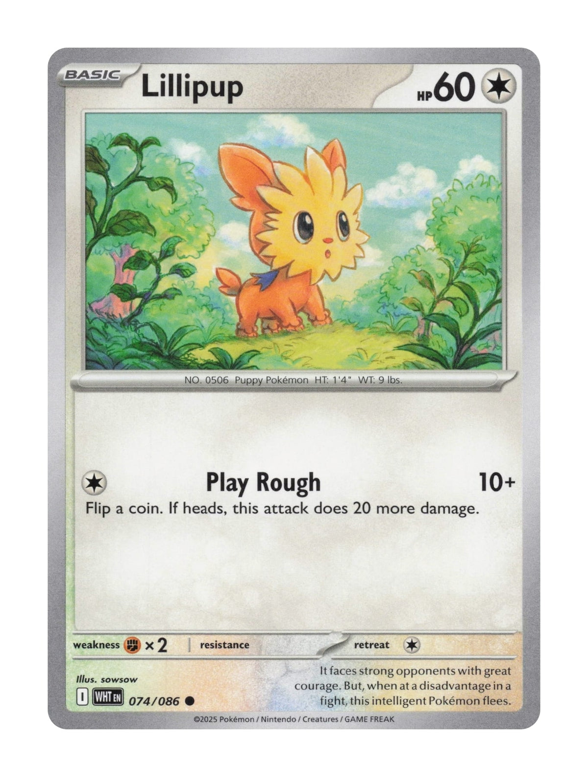 Lillipup - NM front