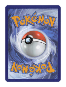 Seel - NM back
