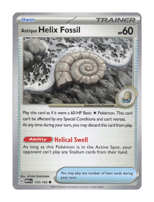 Antique Helix Fossil - NM front
