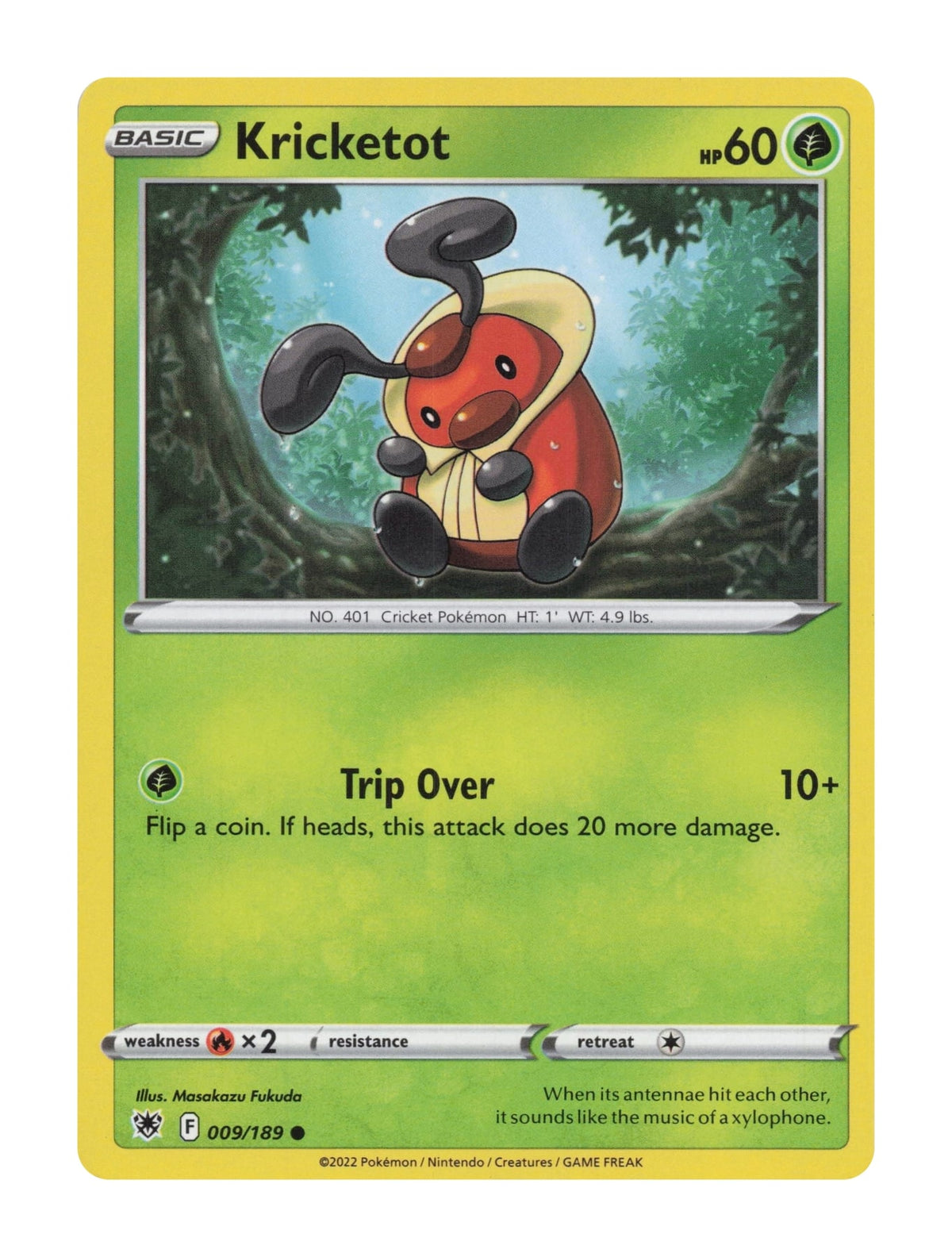 Kricketot - NM front