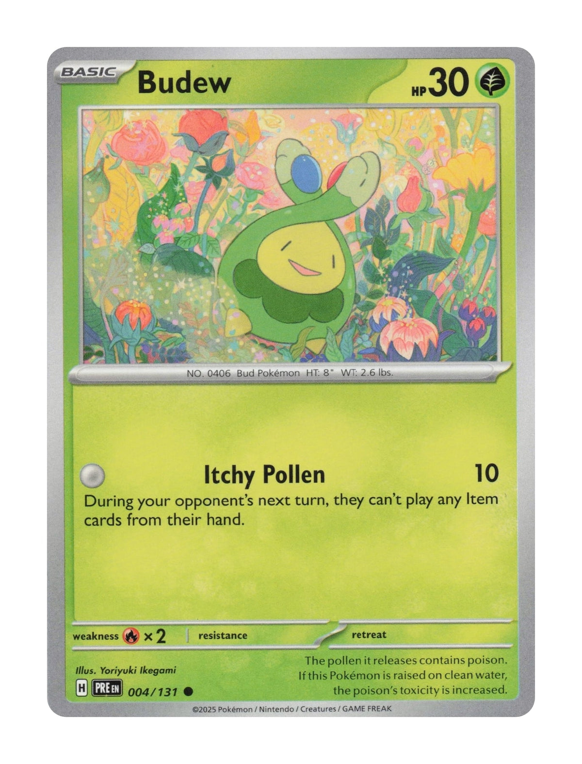 Budew - NM front