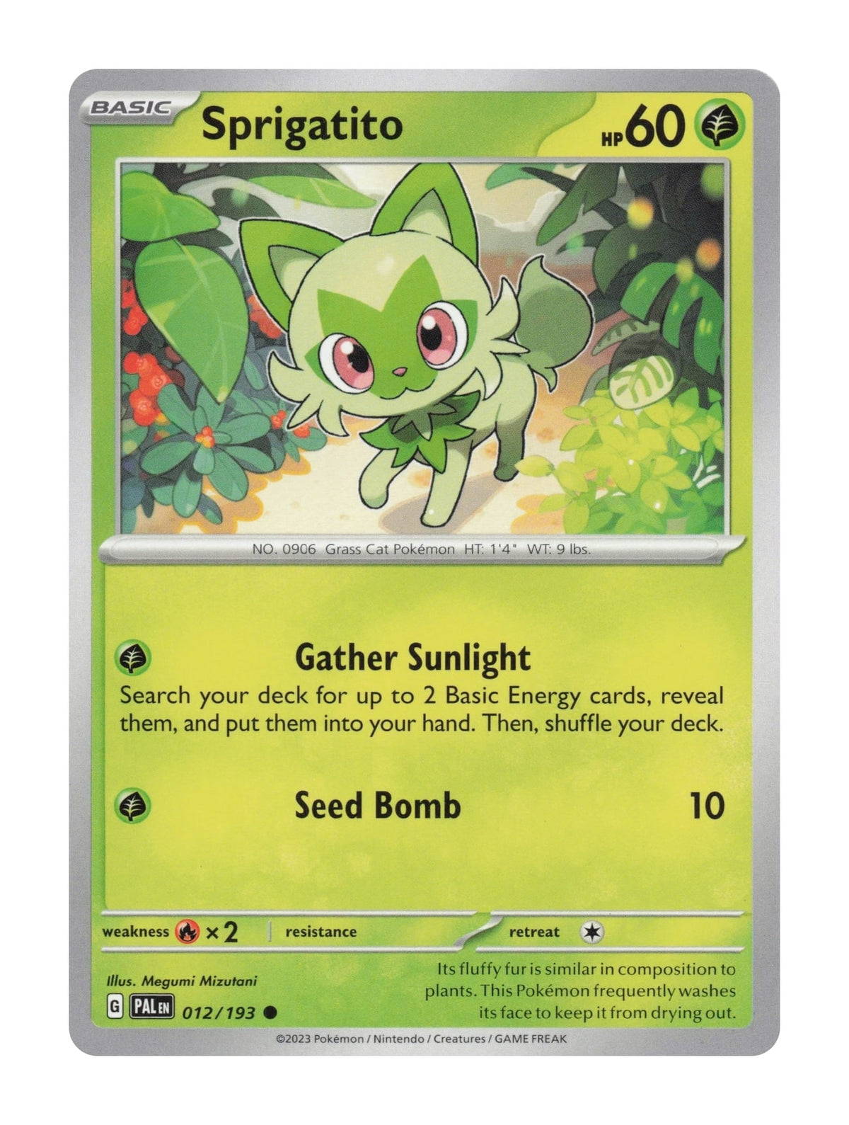 Sprigatito - NM front