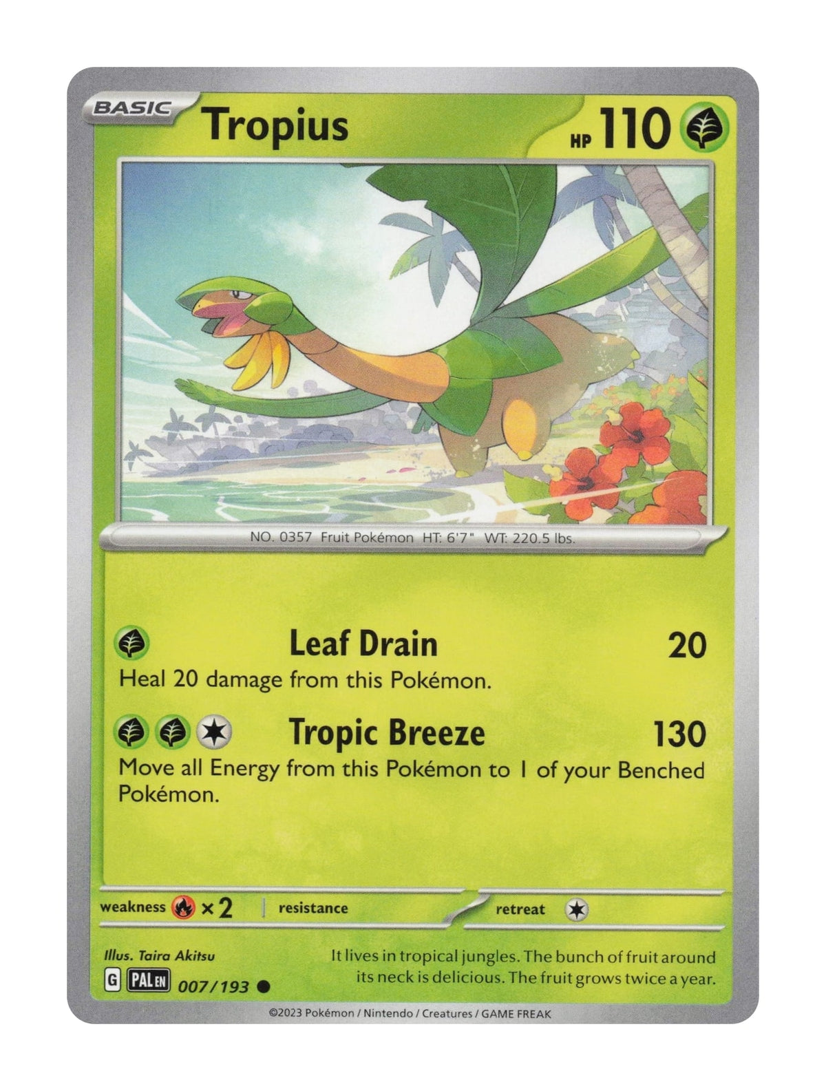 Tropius - NM front