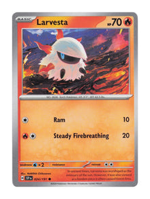 Larvesta - NM front