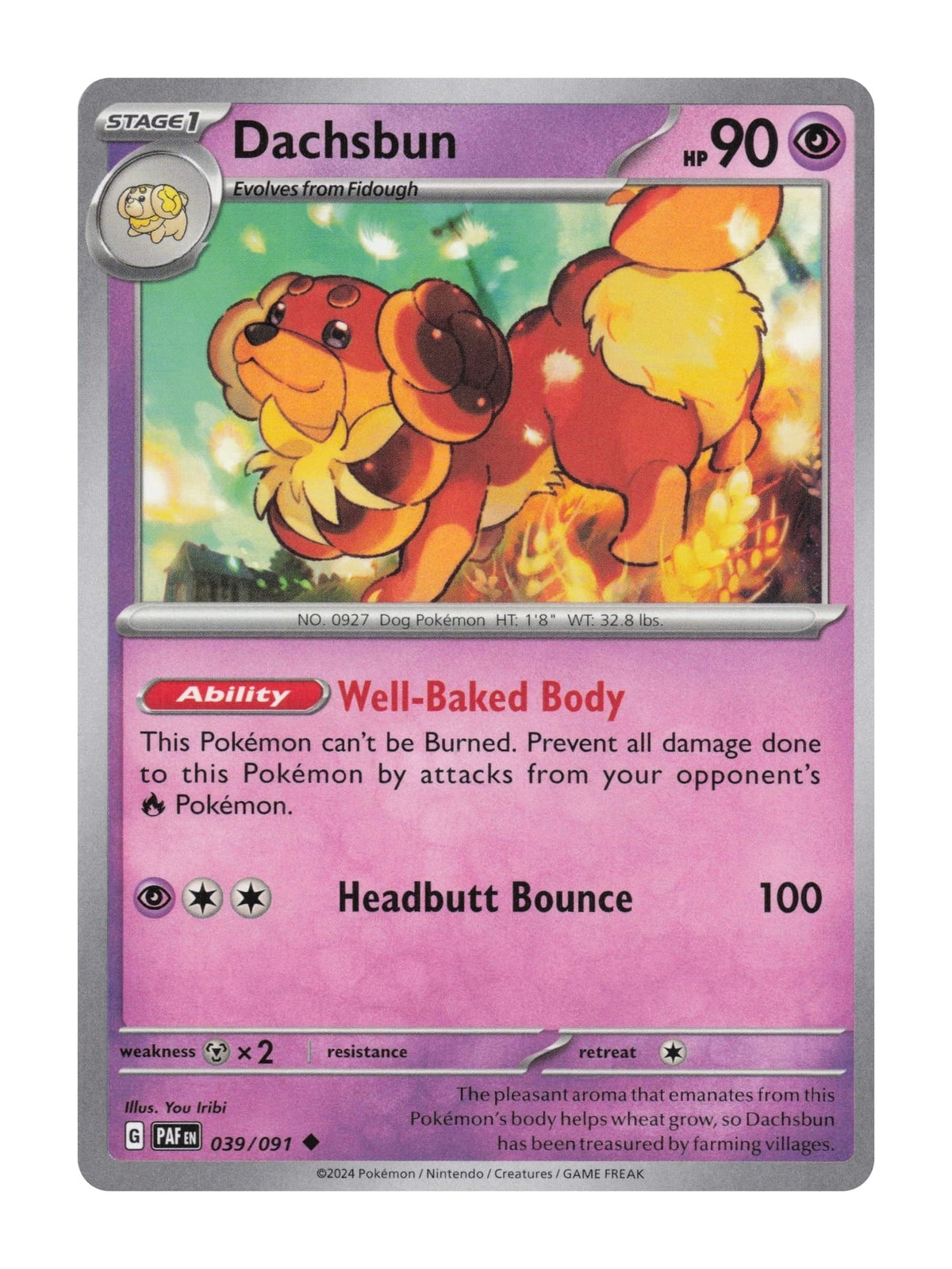 Dachsbun - NM front