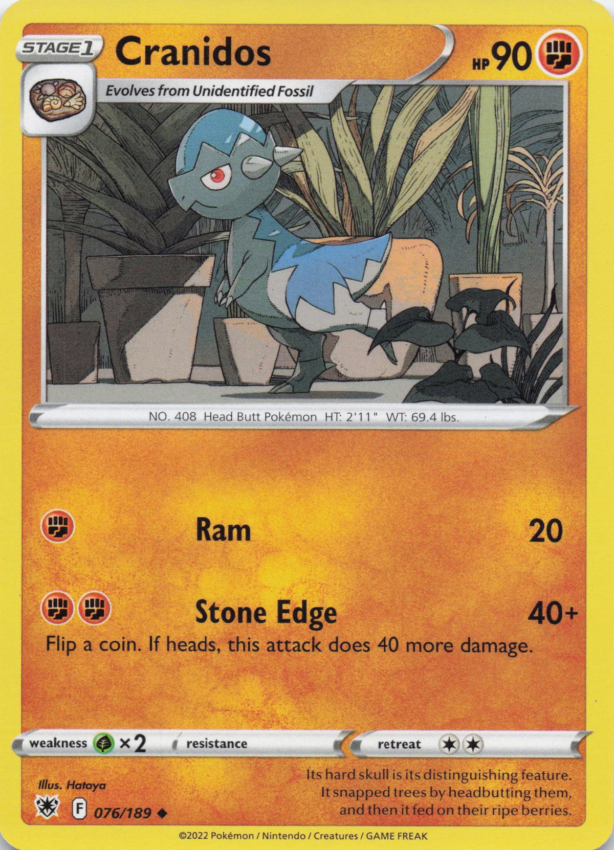 Cranidos - NM front