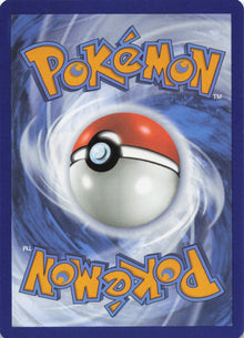 Houndoom - NM back