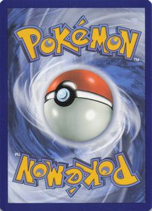 Noibat - NM back