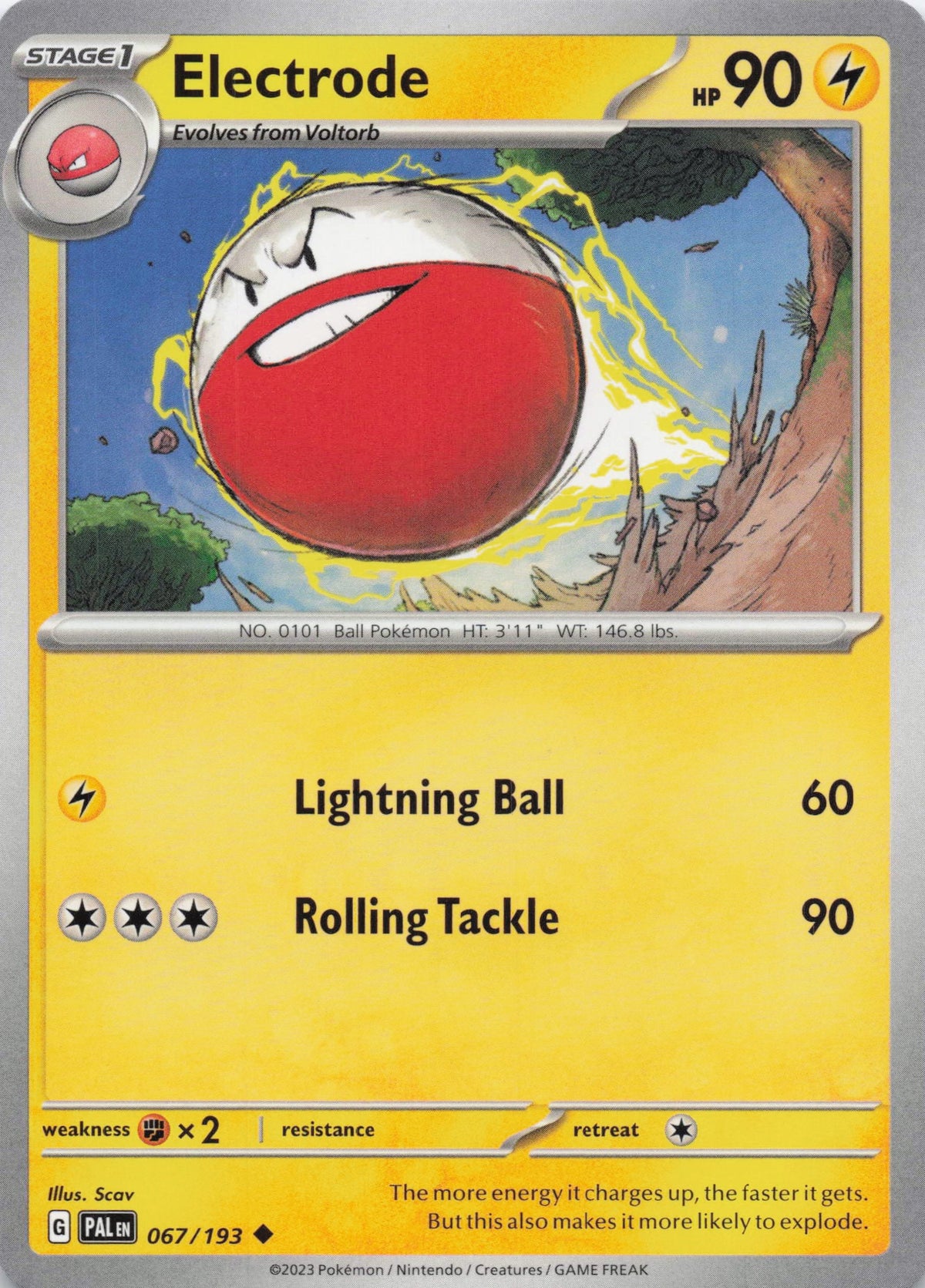 Electrode - NM front