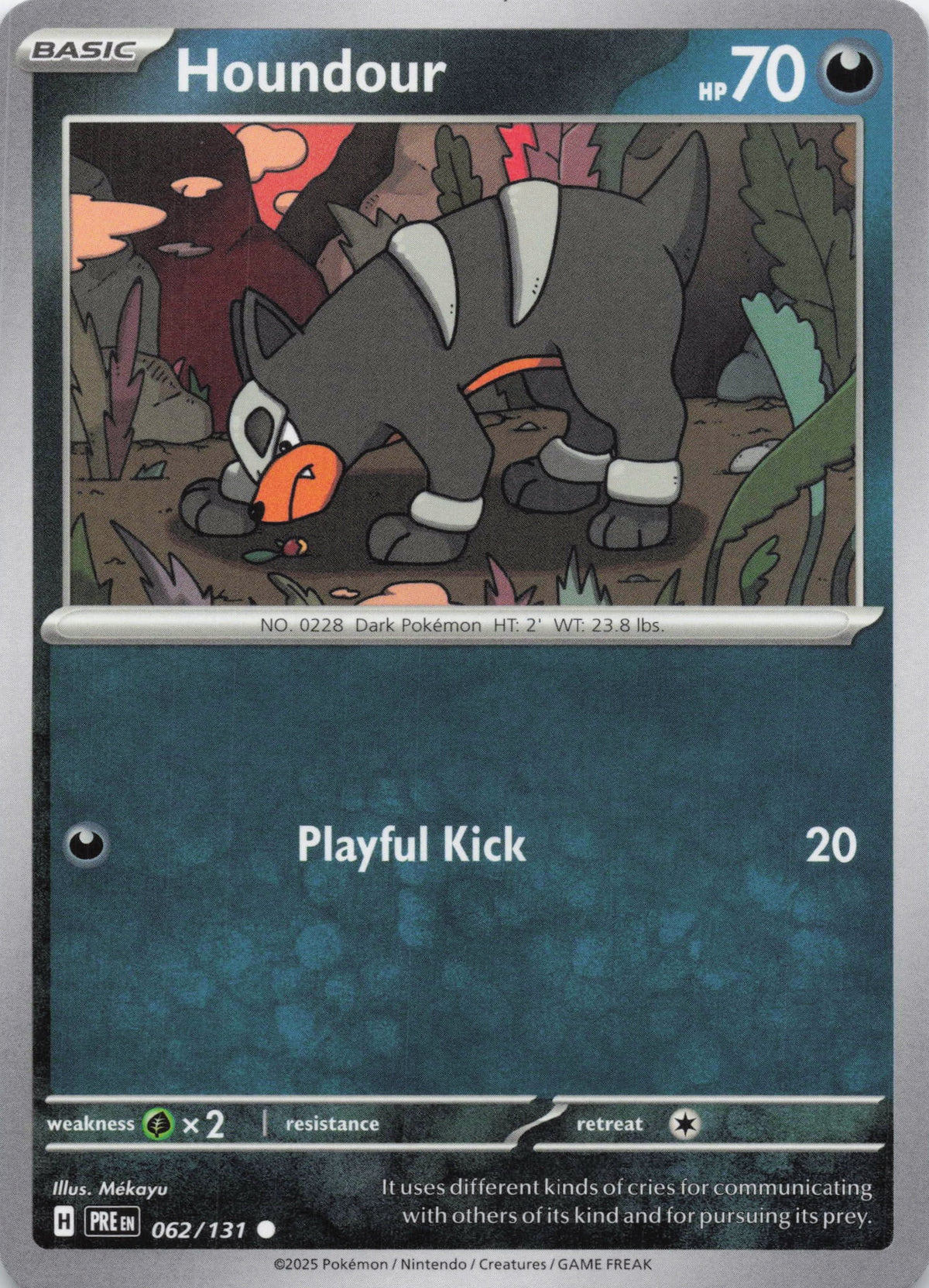 Houndour - NM front
