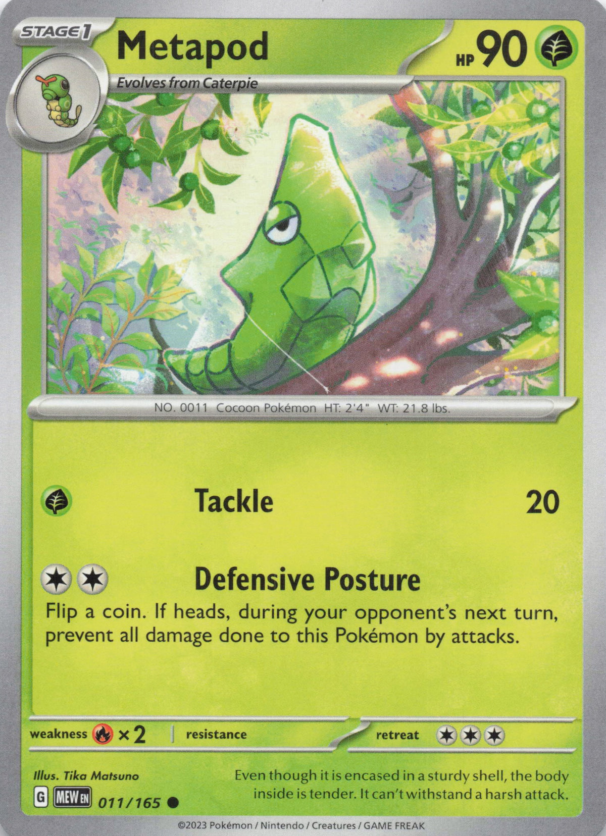 Metapod - NM front