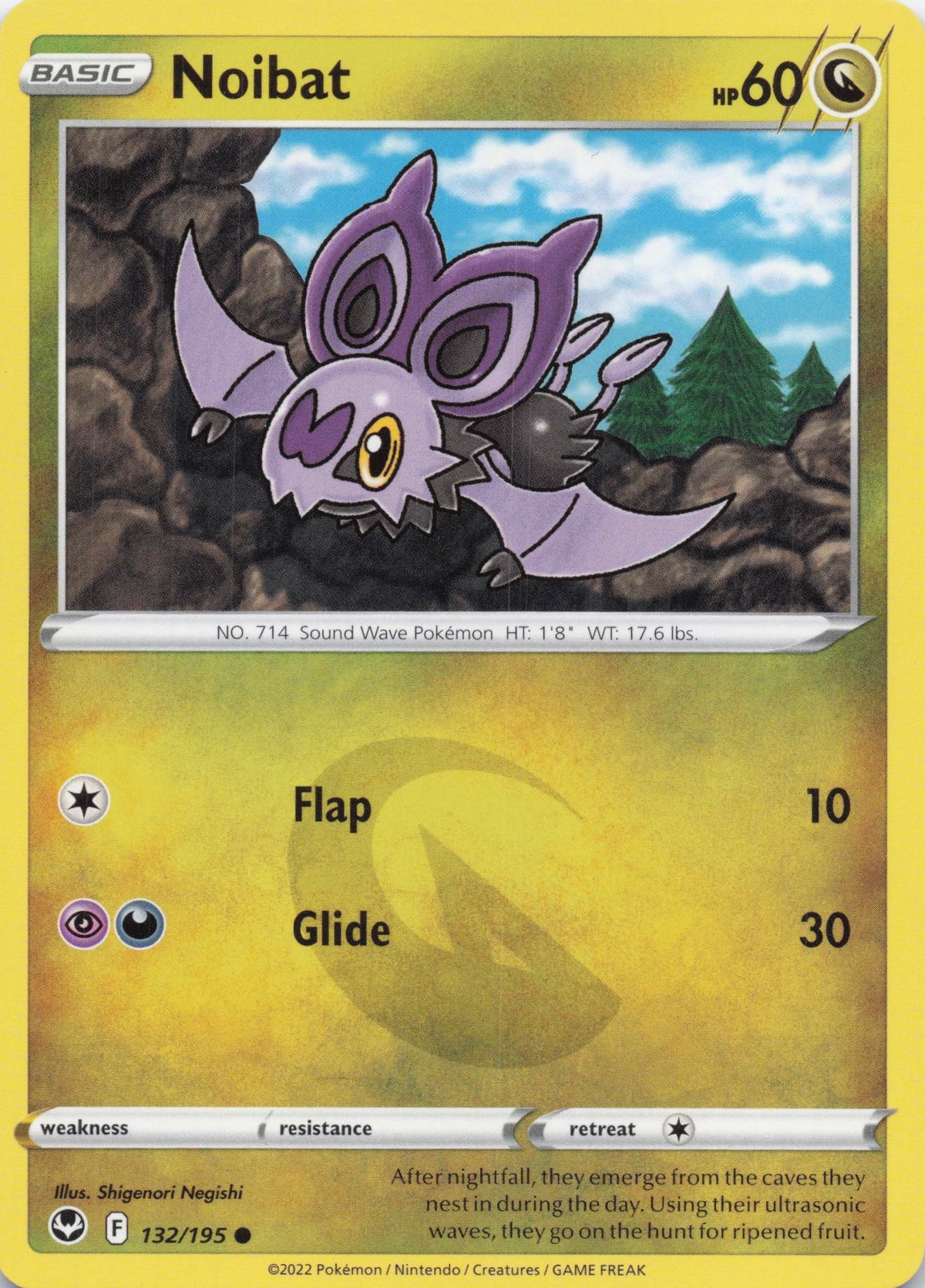Noibat - NM front