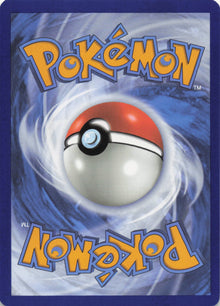 Chinchou - NM back