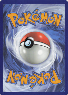 Spinda - NM back