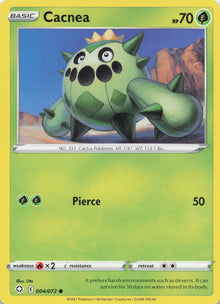 Cacnea - NM front