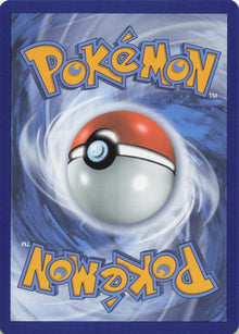 Shuckle - NM back