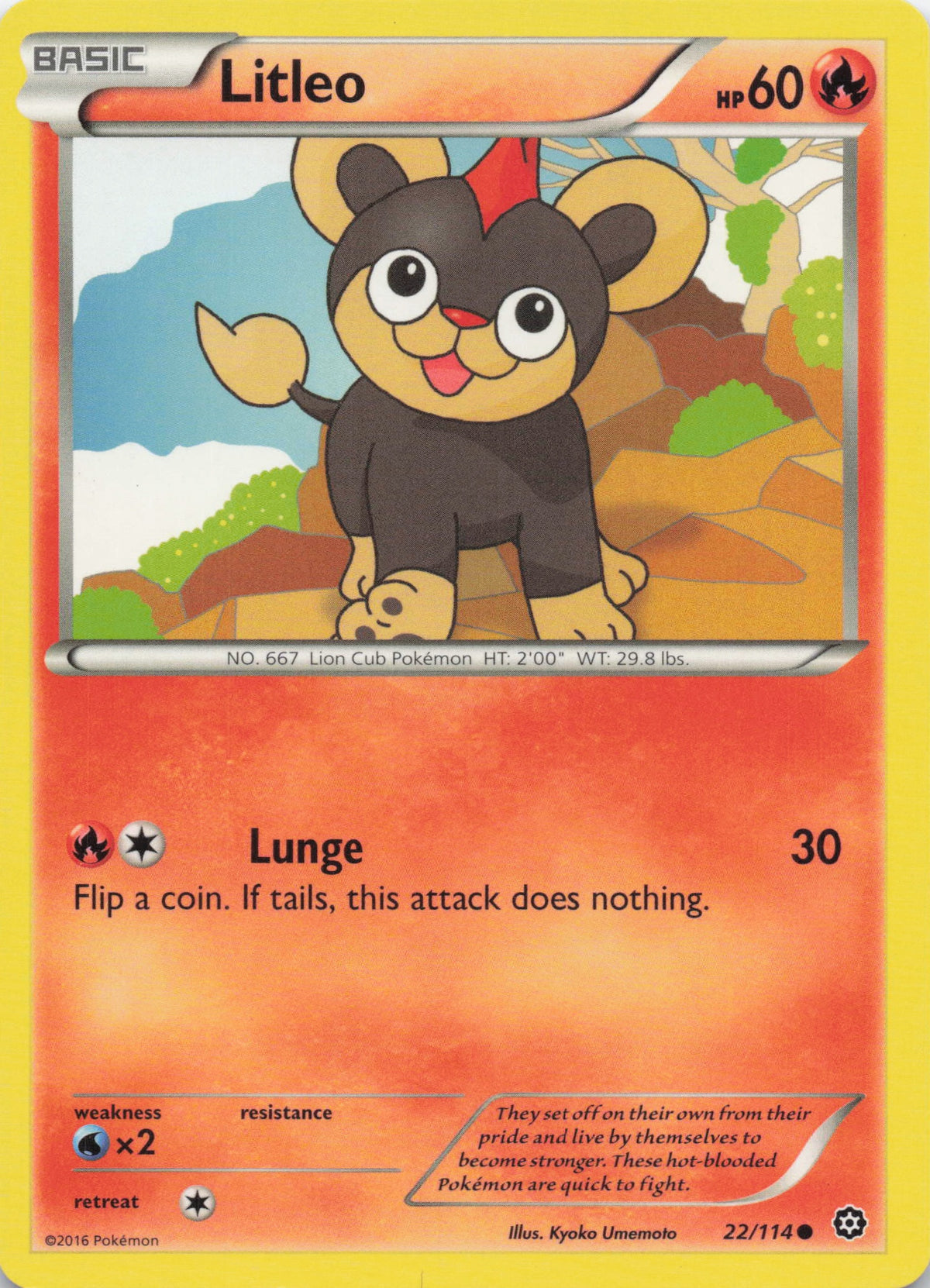 Litleo - NM front