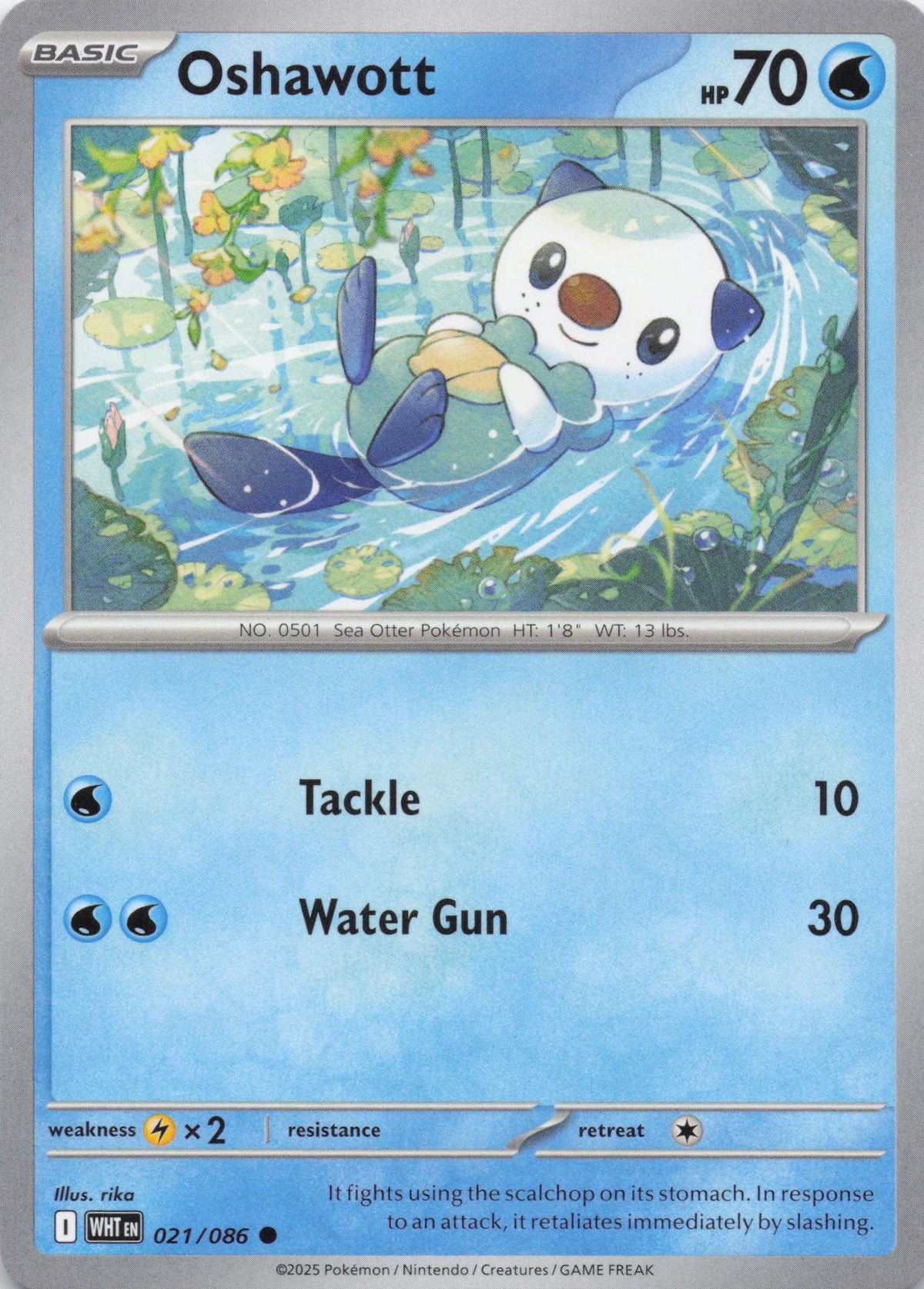 Oshawott - NM front