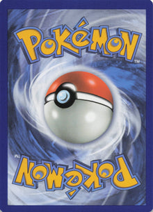 Corsola - NM back