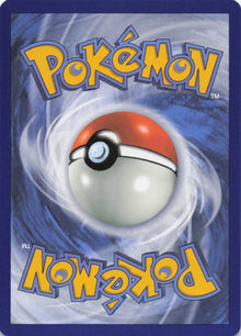 Sewaddle - NM back