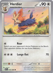 Herdier - NM front