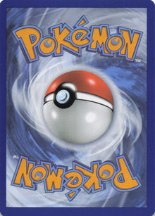 Lopunny - NM back