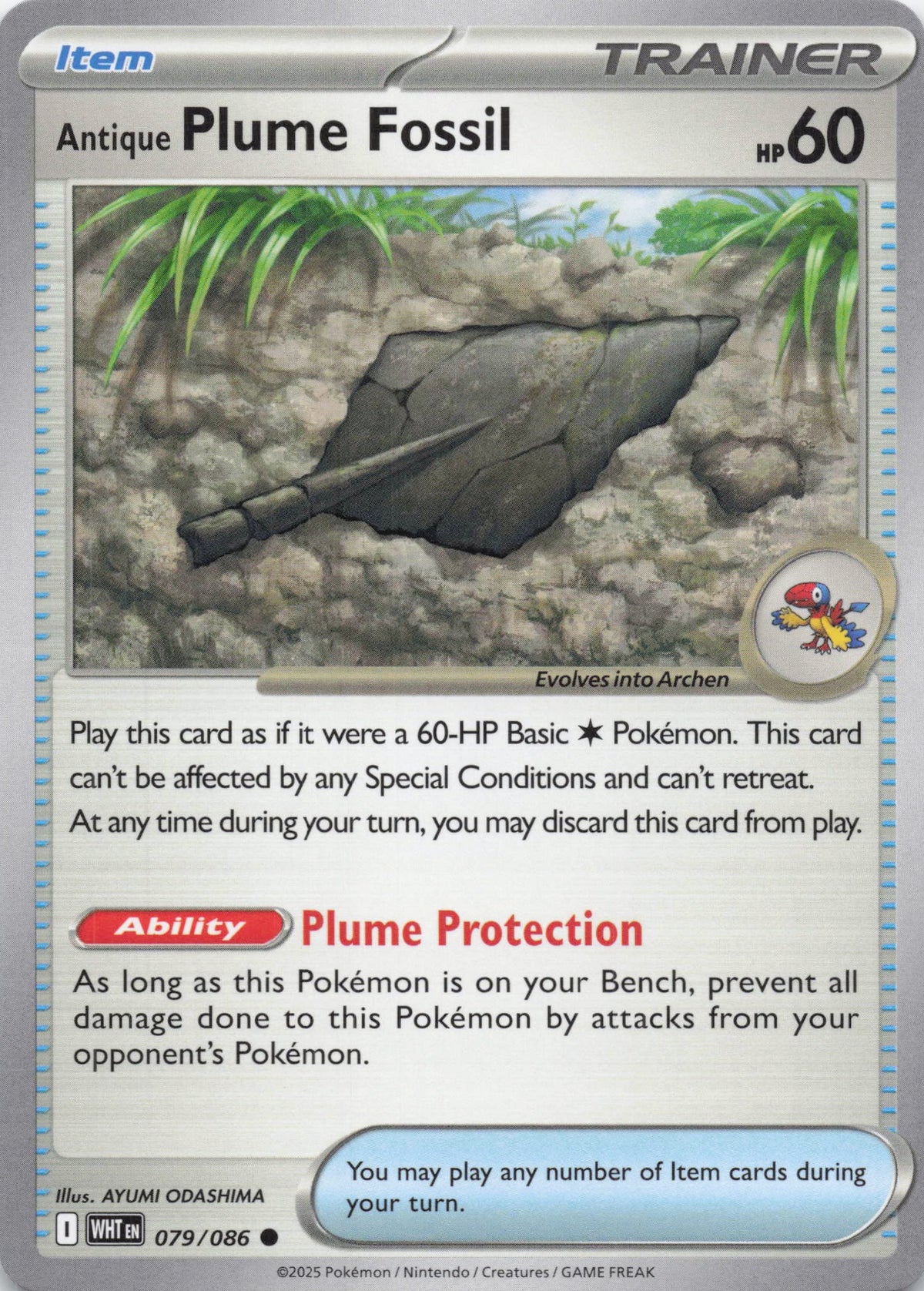 Antique Plume Fossil - NM front