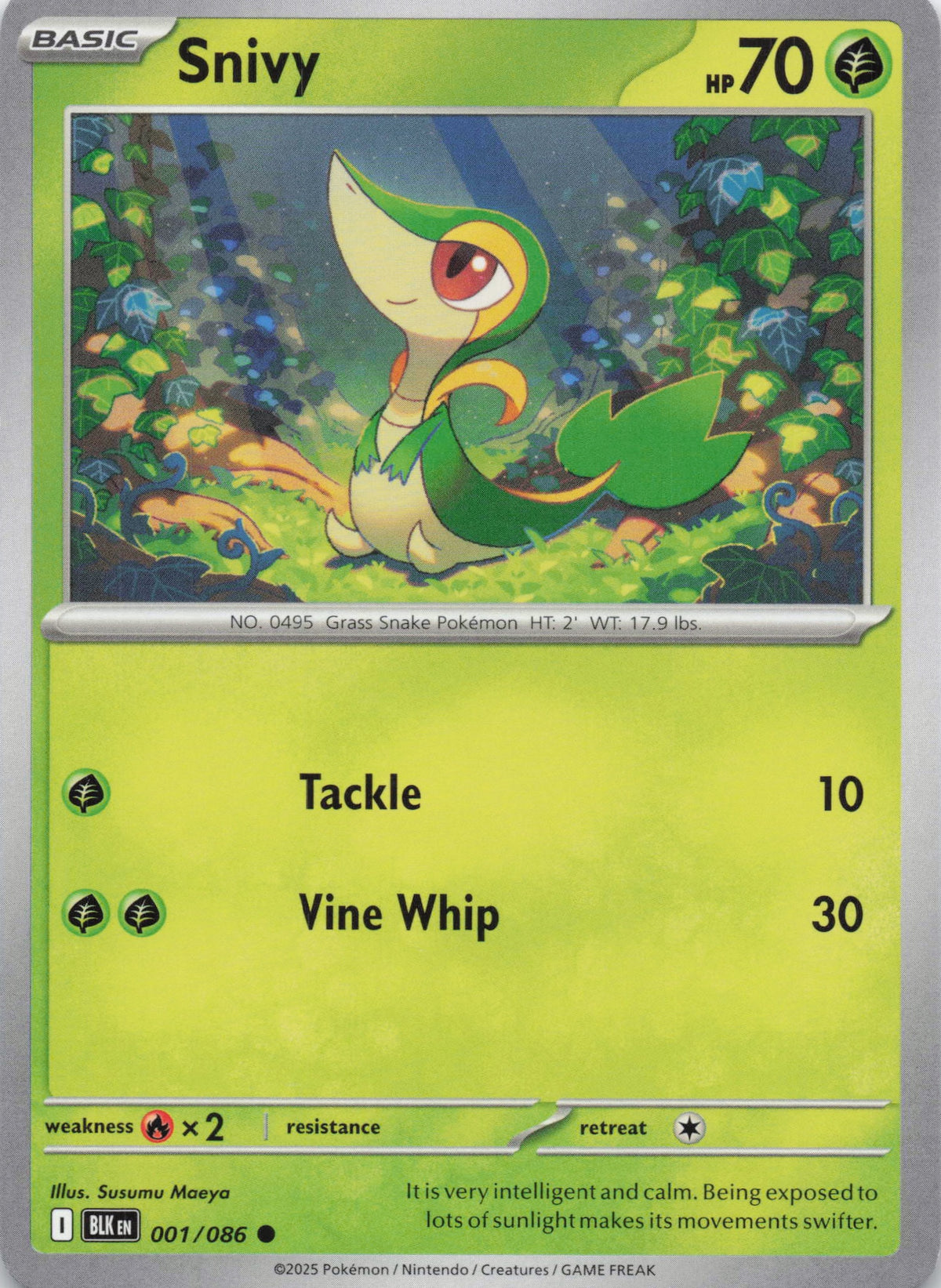 Snivy - NM front